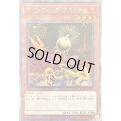 画像1: 〔状態A-〕ローンファイアブロッサム【エクストラシークレット】{RC04-JP002}《モンスター》