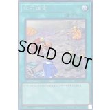 〔状態A-〕化石調査【シークレット】{RC04-JP054}《魔法》