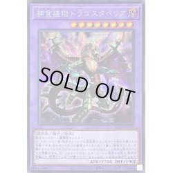 画像1: 捕食植物ドラゴスタペリア【シークレット】{RC04-JP028}《融合》