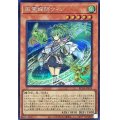 〔状態A-〕風霊媒師ウィン【シークレット】{RC04-JP019}《モンスター》