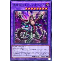 捕食植物ドラゴスタペリア【スーパー】{RC04-JP028}《融合》