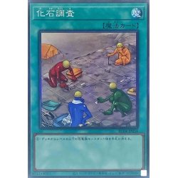 画像1: 化石調査【コレクターズ】{RC04-JP054}《魔法》