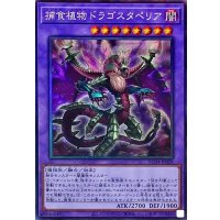 〔状態A-〕捕食植物ドラゴスタペリア【コレクターズ】{RC04-JP028}《融合》