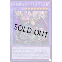 画像1: 捕食植物ドラゴスタペリア【コレクターズ】{RC04-JP028}《融合》
