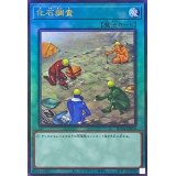 化石調査【レリーフ】{RC04-JP054}《魔法》