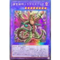 〔状態A-〕捕食植物ドラゴスタペリア【レリーフ】{RC04-JP028}《融合》