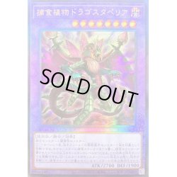 画像1: 〔状態A-〕捕食植物ドラゴスタペリア【レリーフ】{RC04-JP028}《融合》