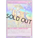 〔状態A-〕恵雷のかかし【スーパー】{RD/B253-JP005}《RD罠》