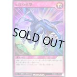 〔状態B〕反攻の竜撃【スーパー】{RD/B253-JP012}《RD罠》