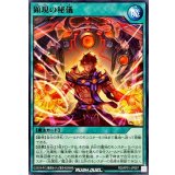 顕現の秘儀【ノーマル】{RD/AP01-JP087}《RD魔法》