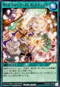 カリスマジックエレガントチェンジ【ノーマル】{RD/AP01-JP055}《RD魔法》