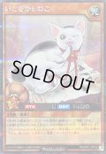 〔状態A-〕いとをかしねこ【シークレット】{RD/AP01-JP022}《RDモンスター》