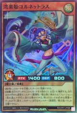 湾楽姫コルネットラス【スーパー】{RD/AP01-JP066}《RDモンスター》