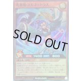 〔状態A-〕湾楽姫コルネットラス【スーパー】{RD/AP01-JP066}《RDモンスター》