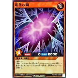 画像1: 進化の繭【スーパー】{RD/AP02-JP039}《RDモンスター》