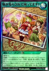 畑が荒らされて困ってます!【スーパー】{RD/AP02-JP028}《RD魔法》