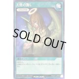 〔状態B〕天使の施し【シークレット】{RD/EXT1-JP049}《RD魔法》