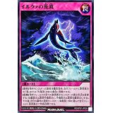 イルクァの荒波【ノーマル】{RD/KP07-JP059}《RD罠》