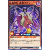 昆遁忍虫迷網のクモ【ノーマル】{RD/KP20-JP013}《RDモンスター》