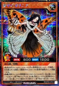 〔状態A-〕夢中のポリニア【シークレット】{RD/KP20-JP033}《RDモンスター》