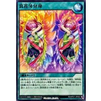 真花牙分身【ノーマル】{RD/KP21-JP054}《RD魔法》