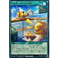 はじめてのネコ探し【レア】{RD/KP22-JP046}《RD魔法》