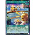 はじめてのネコ探し【シークレット】{RD/KP22-JP046}《RD魔法》