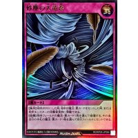 〔状態A-〕砂塵の大竜巻【ウルトラ】{RD/KP24-JP064}《RD罠》