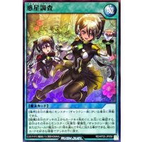 〔状態B〕惑星調査【スーパー】{RD/KP25-JP059}《RD魔法》