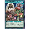 ラワン冒険隊が行く!!【ノーマル】{RD/KP26-JP050}《RD魔法》