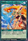 健康あってのもの投げ!【ノーマル】{RD/KP26-JP053}《RD魔法》