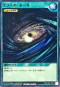 ブラックホール【ノーマル】{RD/LGP2-JP076}《RD魔法》
