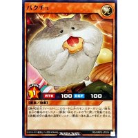 パクチュ【ノーマル】{RD/ORP3-JP074}《RDモンスター》