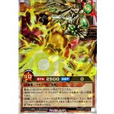 破界王帝ウィッシュオブアウターバース[L]【オーバーラッシュレア】{RD/ORP3-JP058}《RDモンスター》