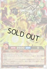 〔状態A-〕破界王帝ウィッシュオブアウターバース[L]【オーバーラッシュレア】{RD/ORP3-JP058}《RDモンスター》