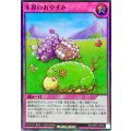 羊界のおやすみ【スーパー】{RD/ORP3-JP029}《RD罠》