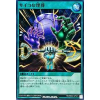 サイコな埋葬【ノーマル】{RD/SBD4-JP021}《RD魔法》