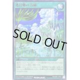 透幻郷の万緑【ノーマル】{RD/SBD7-JP027}《RD魔法》
