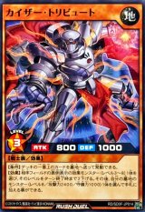 カイザートリビュート【ノーマル】{RD/SD0F-JP014}《RDモンスター》