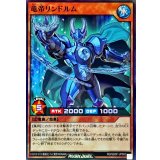 〔状態A-〕竜帝リンドルム【スーパー】{RD/SD0F-JPS03}《RDモンスター》