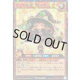 〔状態A-〕アニマジカウィッチ【ノーマルパラレル】{RD/TB02-JP070}《RDモンスター》