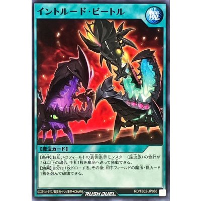 イントルードビートル【ノーマル】{RD/TB02-JP066}《RD魔法》