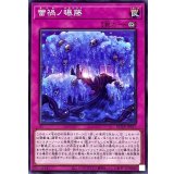 蕾禍ノ曝藤【ノーマル】{ROTA-JP077}《罠》