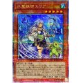 〔状態B〕水霊媒師エリア【クォーターセンチュリーシークレット】{ROTA-JP023}《モンスター》