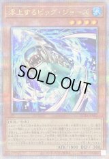 〔状態B〕浮上するビッグジョーズ【クォーターセンチュリーシークレット】{ROTA-JP001}《モンスター》