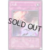 天罰【スーパー】{RDS-JP050}《罠》