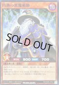 円熟の黒魔術師【ノーマル】{RD/SD0E-JP021}《RDモンスター》