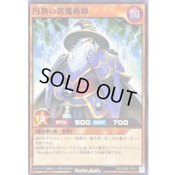画像1: 円熟の黒魔術師【ノーマル】{RD/SD0E-JP021}《RDモンスター》