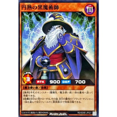 円熟の黒魔術師【ノーマル】{RD/SD0E-JP021}《RDモンスター》
