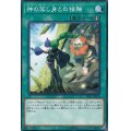 神の写し身との接触【ノーマル】{SD37-JP024}《魔法》